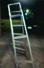 The ladder that tried to kill me